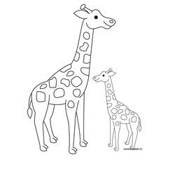 Coloring page: Giraffe (Animals) #7259 - Printable coloring pages