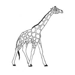 Coloring page: Giraffe (Animals) #7260 - Printable coloring pages