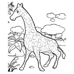 Coloring page: Giraffe (Animals) #7262 - Free Printable Coloring Pages
