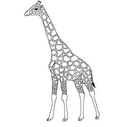 Coloring page: Giraffe (Animals) #7275 - Printable coloring pages