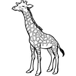 Coloring page: Giraffe (Animals) #7291 - Printable coloring pages