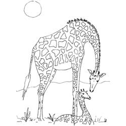 Coloring page: Giraffe (Animals) #7302 - Free Printable Coloring Pages