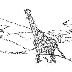 Coloring page: Giraffe (Animals) #7305 - Printable coloring pages