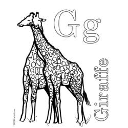 Coloring page: Giraffe (Animals) #7316 - Free Printable Coloring Pages