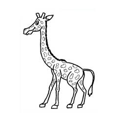 Coloring page: Giraffe (Animals) #7324 - Free Printable Coloring Pages