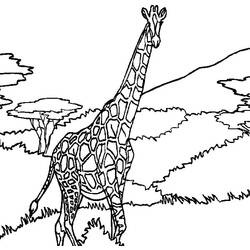 Coloring page: Giraffe (Animals) #7330 - Free Printable Coloring Pages