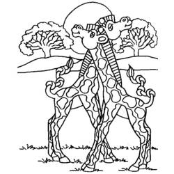 Coloring page: Giraffe (Animals) #7344 - Free Printable Coloring Pages