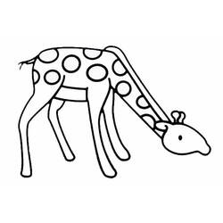 Coloring page: Giraffe (Animals) #7345 - Free Printable Coloring Pages