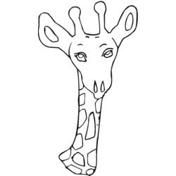Coloring page: Giraffe (Animals) #7375 - Free Printable Coloring Pages
