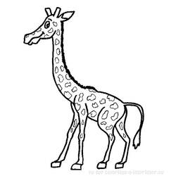 Coloring page: Giraffe (Animals) #7386 - Free Printable Coloring Pages