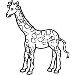 Coloring page: Giraffe (Animals) #7387 - Free Printable Coloring Pages