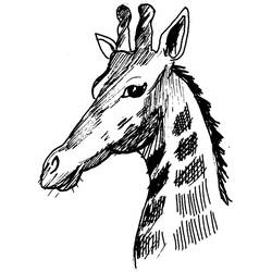Coloring page: Giraffe (Animals) #7389 - Free Printable Coloring Pages