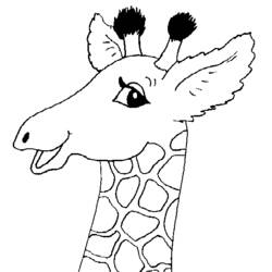 Coloring page: Giraffe (Animals) #7412 - Printable coloring pages