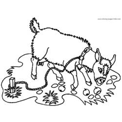 Coloring page: Goat (Animals) #2378 - Free Printable Coloring Pages