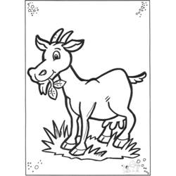 Coloring page: Goat (Animals) #2384 - Printable coloring pages