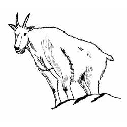 Coloring page: Goat (Animals) #2386 - Free Printable Coloring Pages