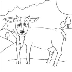 Coloring page: Goat (Animals) #2421 - Free Printable Coloring Pages