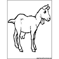 Coloring page: Goat (Animals) #2422 - Printable coloring pages