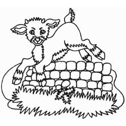 Coloring page: Goat (Animals) #2443 - Free Printable Coloring Pages
