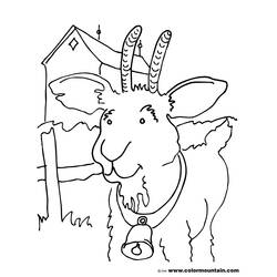 Coloring page: Goat (Animals) #2464 - Free Printable Coloring Pages