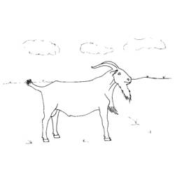 Coloring page: Goat (Animals) #2474 - Free Printable Coloring Pages