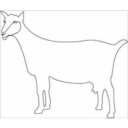 Coloring page: Goat (Animals) #2489 - Free Printable Coloring Pages