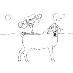 Coloring page: Goat (Animals) #2495 - Free Printable Coloring Pages