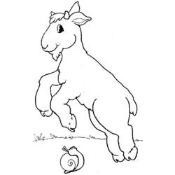 Coloring page: Goat (Animals) #2498 - Free Printable Coloring Pages