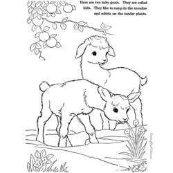Coloring page: Goat (Animals) #2520 - Printable coloring pages