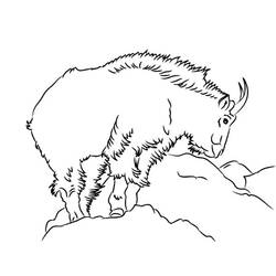 Coloring page: Goat (Animals) #2559 - Free Printable Coloring Pages