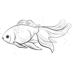 Goldfish (Animals) coloring page #208329 to print and color