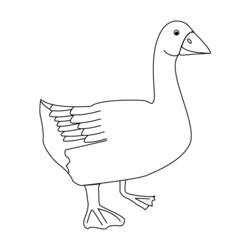 Coloring pages: Goose - Free Printable Coloring Pages