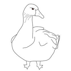 Coloring page: Goose (Animals) #11652 - Free Printable Coloring Pages