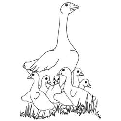 Coloring page: Goose (Animals) #11658 - Printable coloring pages