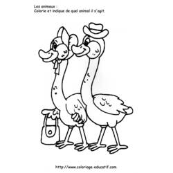 Coloring page: Goose (Animals) #11662 - Free Printable Coloring Pages
