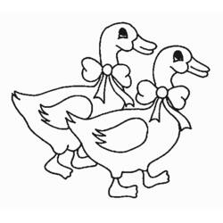 Coloring page: Goose (Animals) #11665 - Printable coloring pages