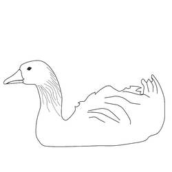 Coloring page: Goose (Animals) #11666 - Free Printable Coloring Pages