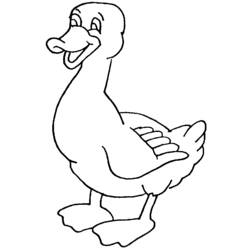 Coloring page: Goose (Animals) #11671 - Printable coloring pages