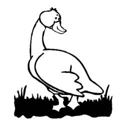 Coloring page: Goose (Animals) #11688 - Free Printable Coloring Pages