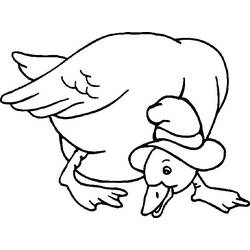 Coloring page: Goose (Animals) #11689 - Free Printable Coloring Pages