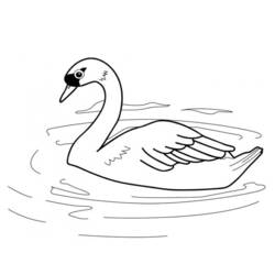 Coloring page: Goose (Animals) #11697 - Printable coloring pages
