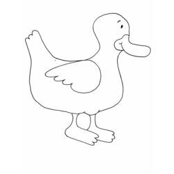Coloring page: Goose (Animals) #11709 - Free Printable Coloring Pages