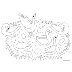 Coloring page: Goose (Animals) #11726 - Free Printable Coloring Pages