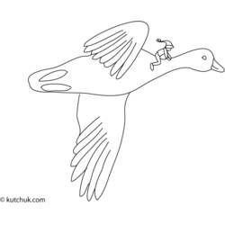 Coloring page: Goose (Animals) #11731 - Printable coloring pages