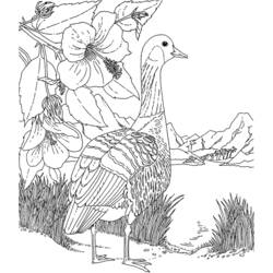 Coloring page: Goose (Animals) #11746 - Free Printable Coloring Pages