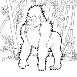 Gorilla (Animals) coloring page #188940 to print and color