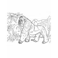 Gorilla (Animals) coloring page #188947 to print and color