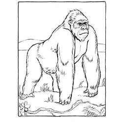 Gorilla (Animals) coloring page #188964 to print and color