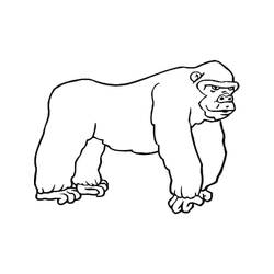 Gorilla (Animals) coloring page #188965 to print and color