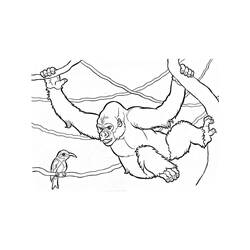 Gorilla (Animals) coloring page #188967 to print and color